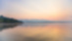 shutterstock_1183342816_LR._CROP.jpg