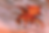 dessert dragon.png