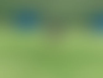 7月19日(土) 学校総合県大会始まる!