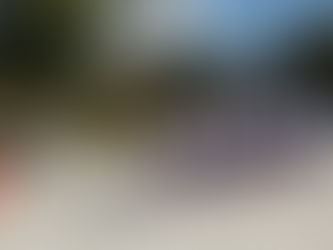 11月17日(月) 校内駅伝大会に向けて