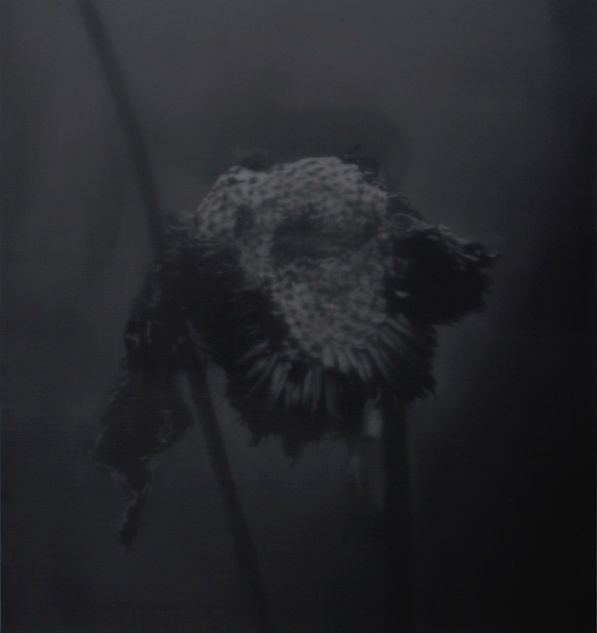 Painting, Oil on canvas by Kiki Lamers (NL, 1964), renowned artist living in Rougeux, France