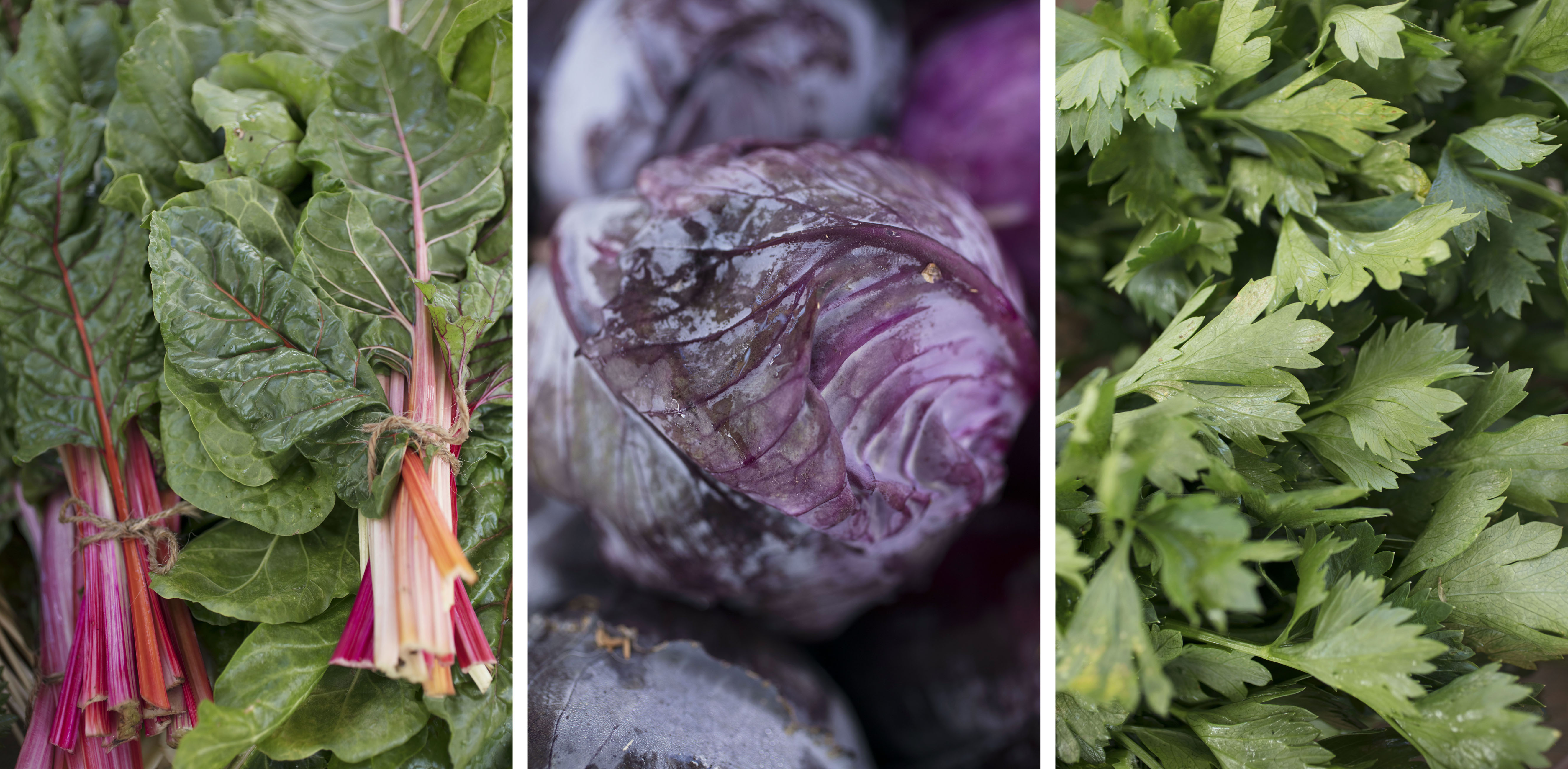 Nos légumes