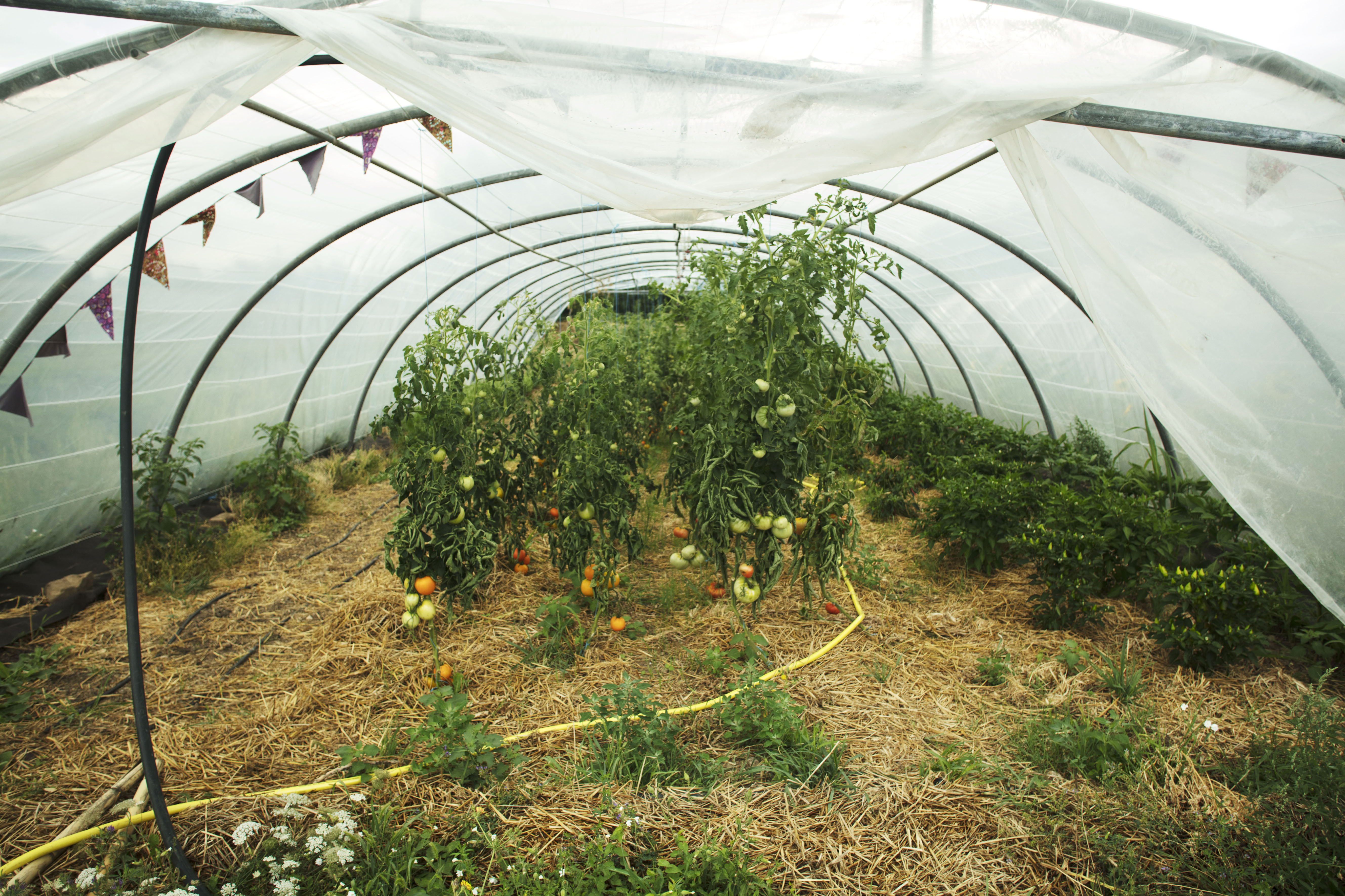 serre jardins en-chantants