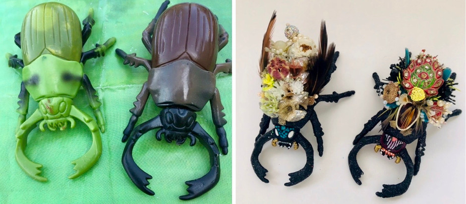 Beetle Blog