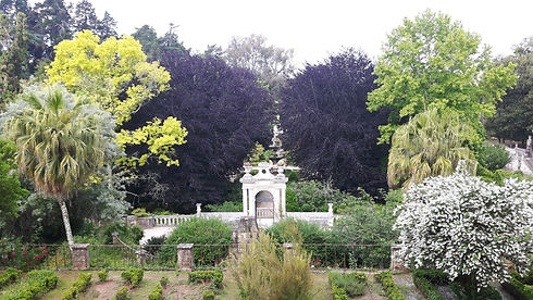 20180528_101419.jpg