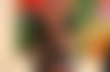 ¿Cómo resistir a la violencia sociopolítica en Centroamérica?