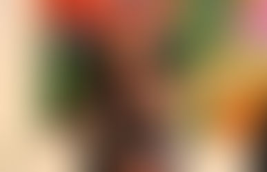 ¿Cómo resistir a la violencia sociopolítica en Centroamérica?