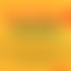 The Activist Wellbeing Cookbook