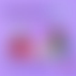 Un nuevo ciclo en CIMAC