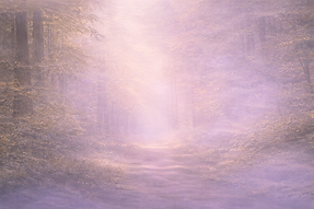 ChatGPT Image Feb 15, 2026 at 11_43_56 AM.png