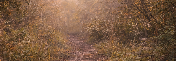 ChatGPT Image Feb 22, 2026 at 11_55_31 AM.png