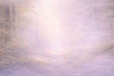 ChatGPT Image Feb 15, 2026 at 11_43_56 AM_edited.jpg