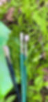 marketing_inter_2025-07_look book cover_edited.jpg