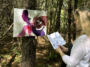 Art on the Trails Returns: A Day of Art, Community & Nature