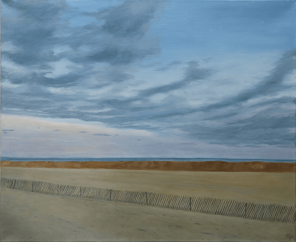 Storm Fences 2