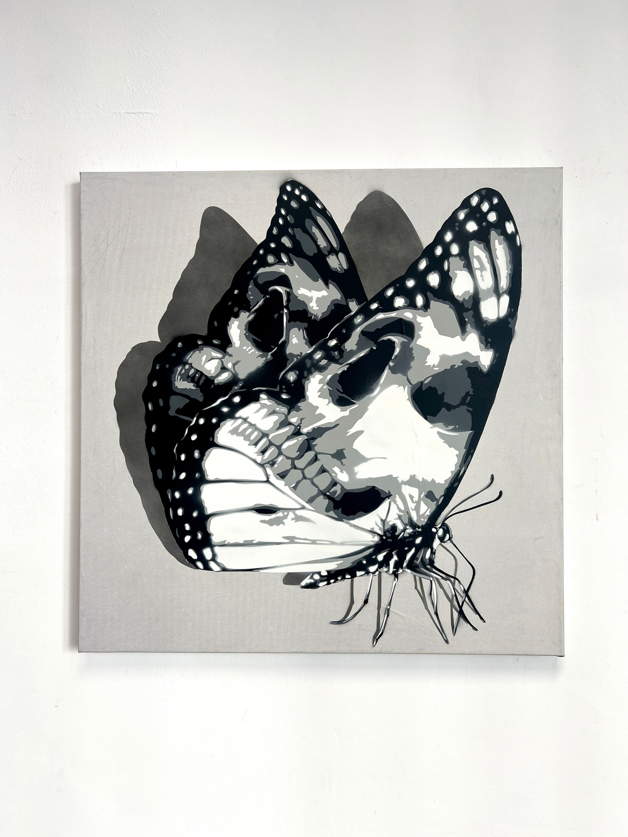 30"x30" Skullerfly Billboard