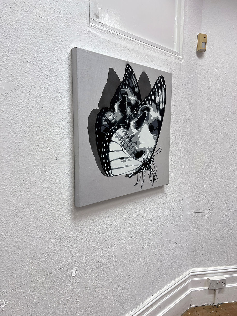 Thumbnail: WHITE SKULLERFLY 30" X 30"