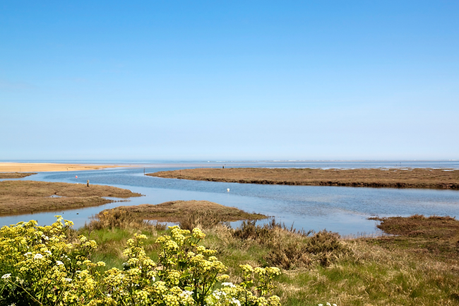 Untitled design (64).png