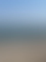 sailboats