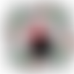 Der FCE wünscht Frohe Weihnachten!