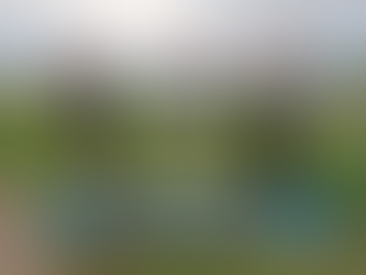 3 men celebrating with cups. standing on blue pallets with island scenery in the background.