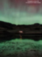 ree