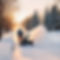 Person snow blowing a driveway.jpg