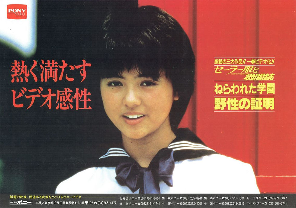 ビデオセーラー服と機関銃チラシ