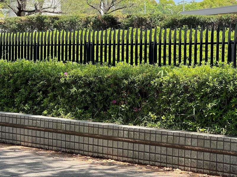 ミセシンど根性ガエル1a