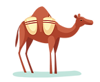 Camel