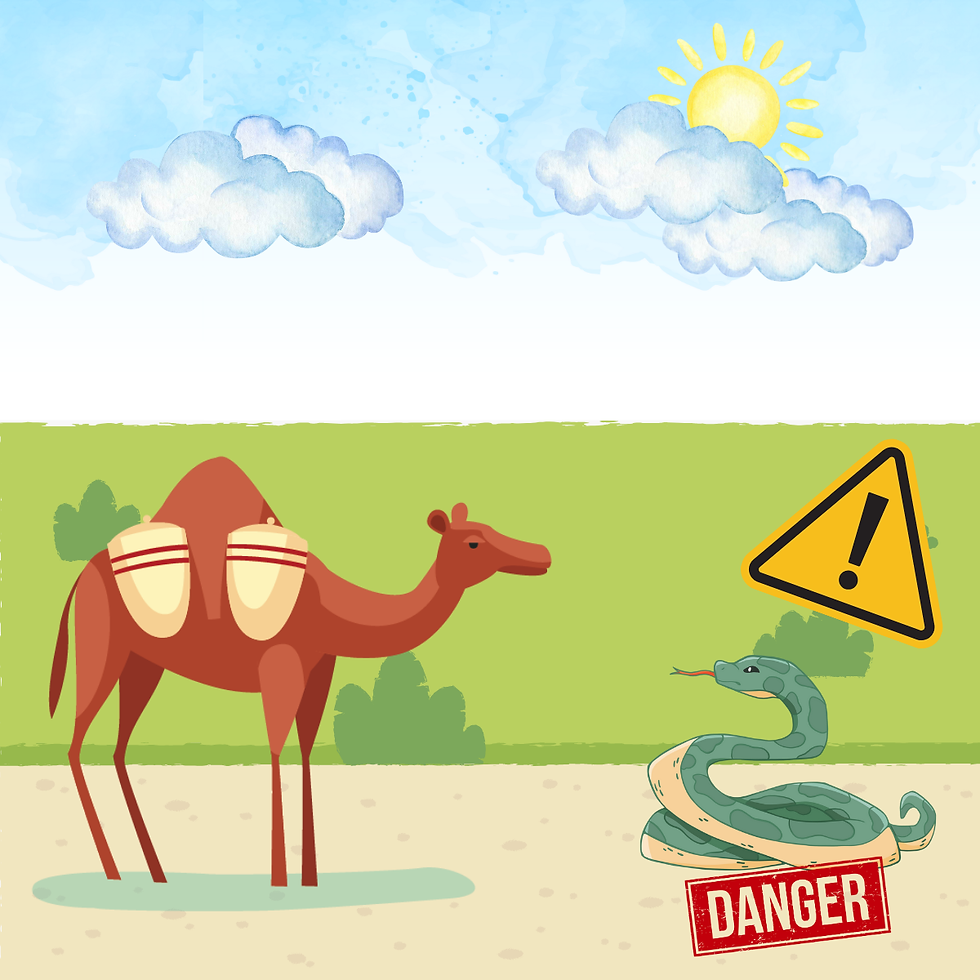 Risk Migrate