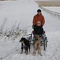 Trainerin fährt im Schnee mit Hunden Sacco-Kart