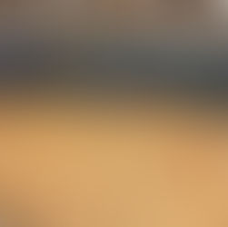 2017DNT X PPMC Police Event Tiny Whoop