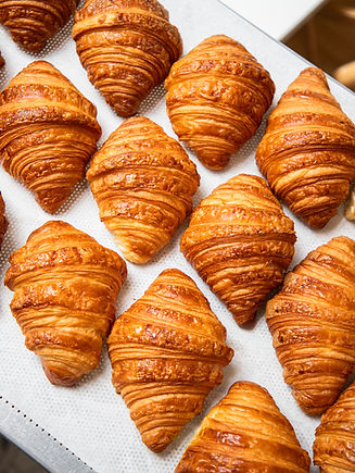 for web-3338 (2).jpg