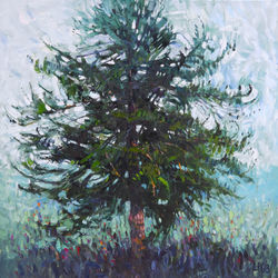 Redcedar Matriarch