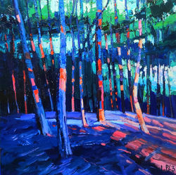 Forest Light Dance