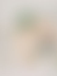 Breaking Away from Traditional Medicine: Exploring the Integrative Approach