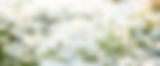 shutterstock_1585273756.jpg