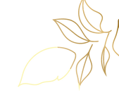 Untitled-1-04.png