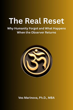 the Real Reset Book