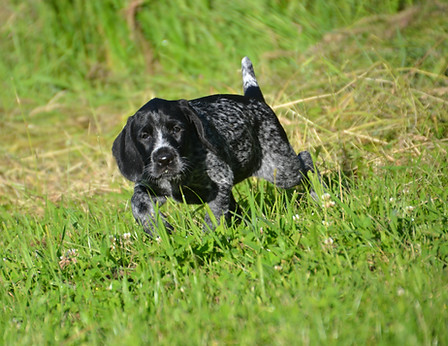 DSC_0702.JPG