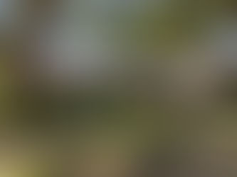 May 2020
