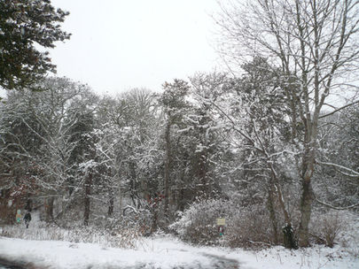 CCF Winter Webinar Series Returns February 7