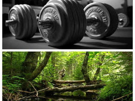 Gym ou milieux naturel ?