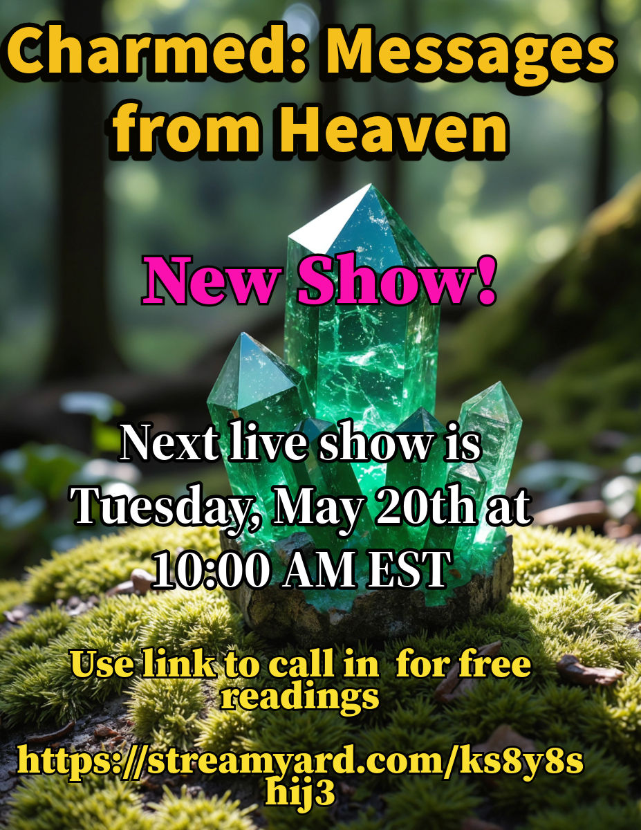 Next Live Show