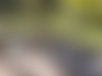 At finde sit personlige formål – spørgsmålene, der ændrer alt