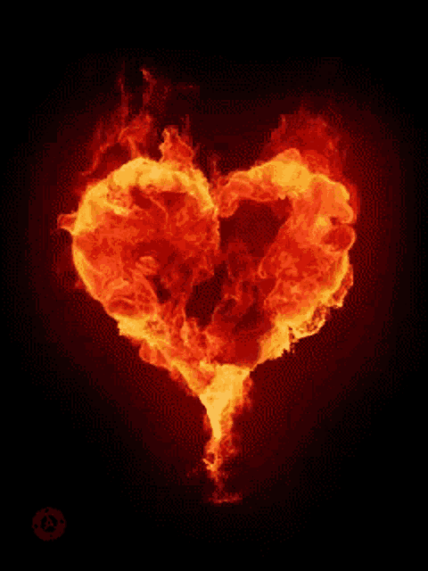 fire heart.gif