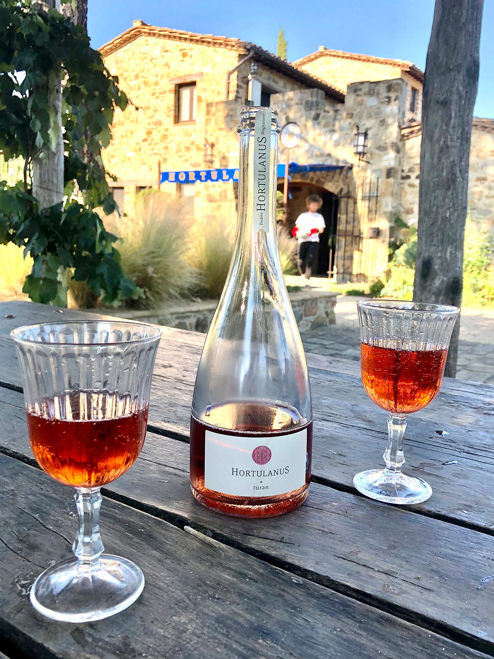 Degustazione vini
