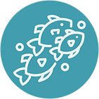 Untitled design (3).png