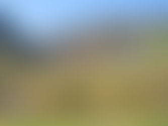 World Suicide Prevention Day 2021